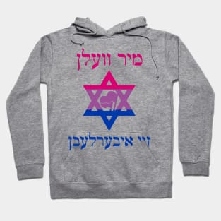 Mir Veln Zey Iberlebn (Bi Pride Colors) Hoodie